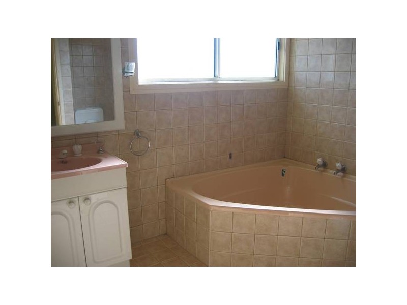 17 Westward Street, Shalvey NSW 2770