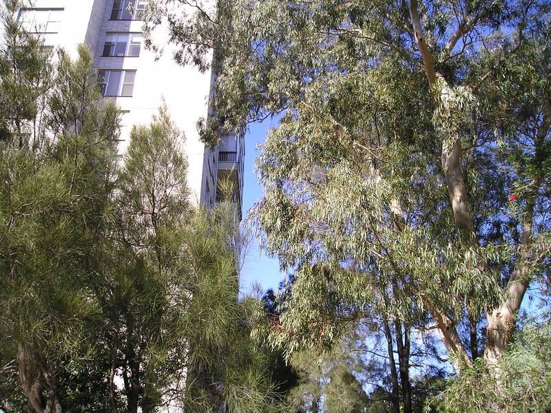 22/17 WATSON ST, Neutral Bay NSW 2089