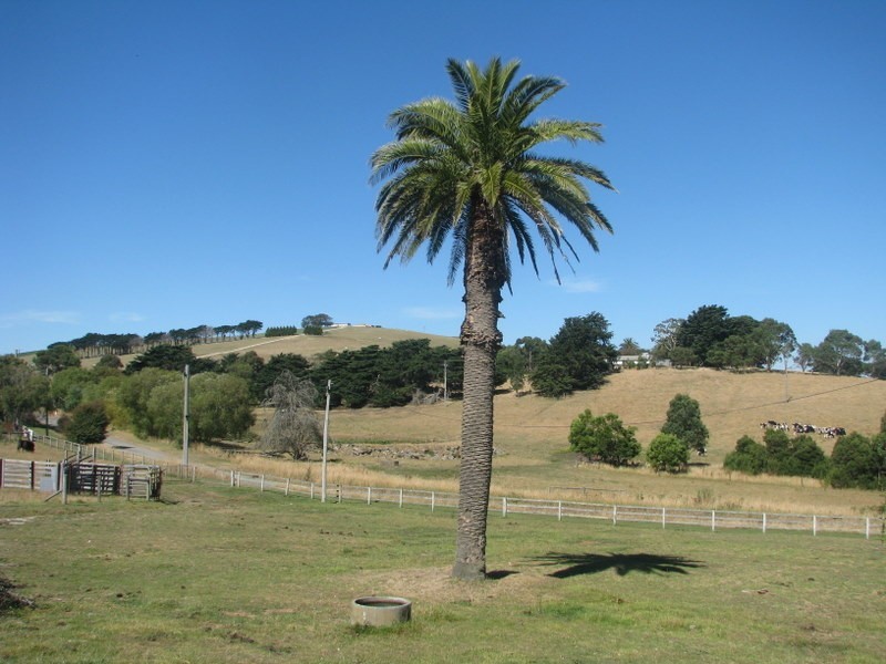 450. Clancys Road, Korumburra VIC 3950