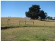 450. Clancys Road, Korumburra VIC 3950