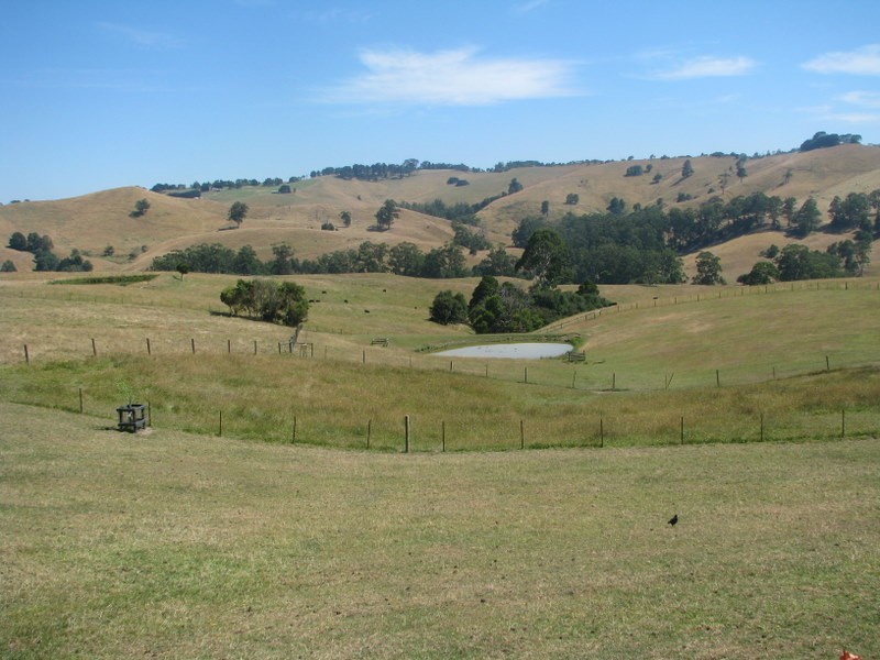 155 Ritchies Road, Arawata VIC 3951
