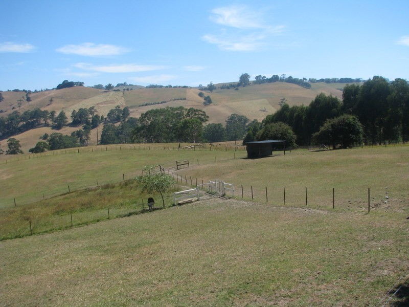 155 Ritchies Road, Arawata VIC 3951