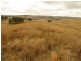 134 Hairs Road Moyarra, Korumburra VIC 3950