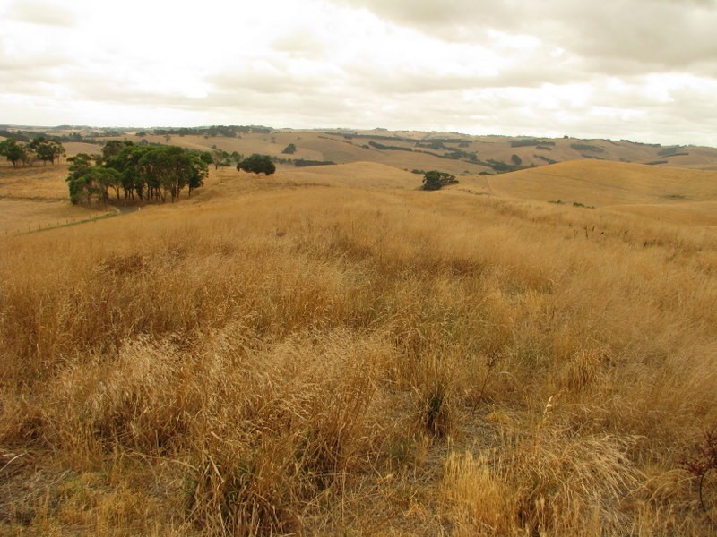134 Hairs Road Moyarra, Korumburra VIC 3950