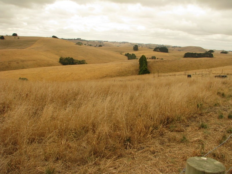 134 Hairs Road Moyarra, Korumburra VIC 3950