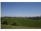 54 Newtons Road, Korumburra VIC 3950