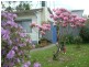 101 George Street, Korumburra VIC 3950