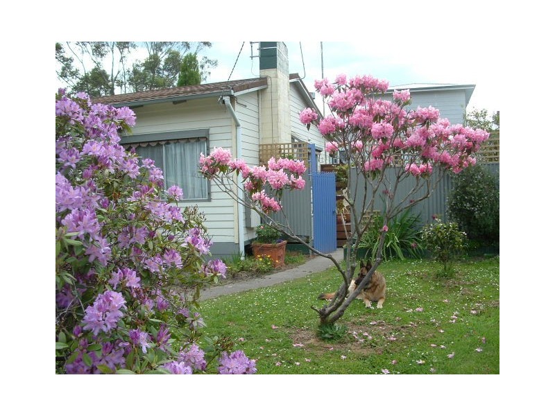 101 George Street, Korumburra VIC 3950