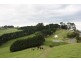 720 Bena Kongwak Road, Loch VIC 3945