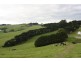 720 Bena Kongwak Road, Loch VIC 3945
