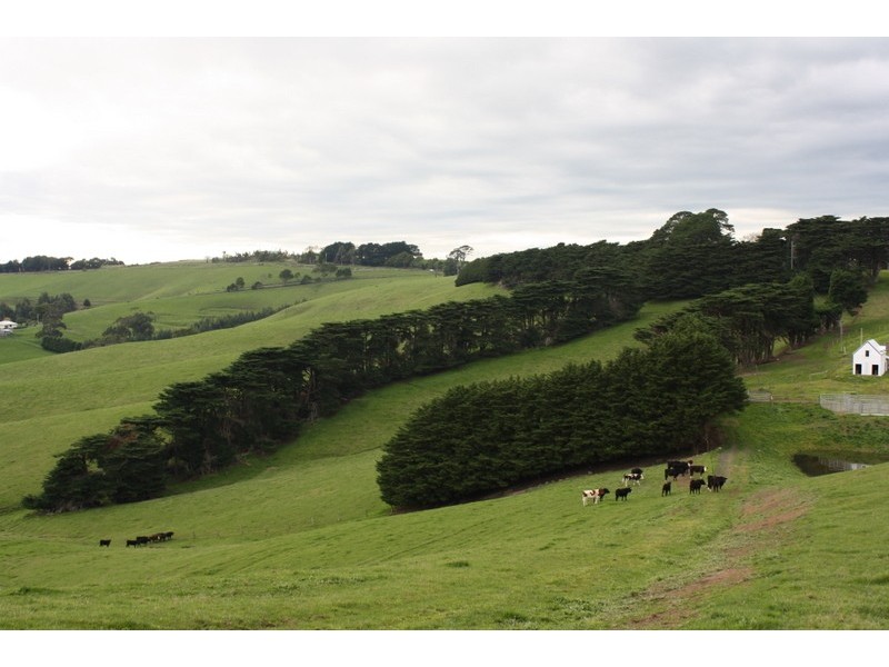 720 BENA KONGWAK ROAD, Kongwak VIC 3951