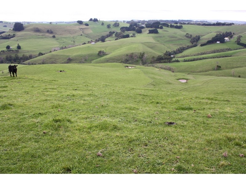 720 BENA KONGWAK ROAD, Kongwak VIC 3951