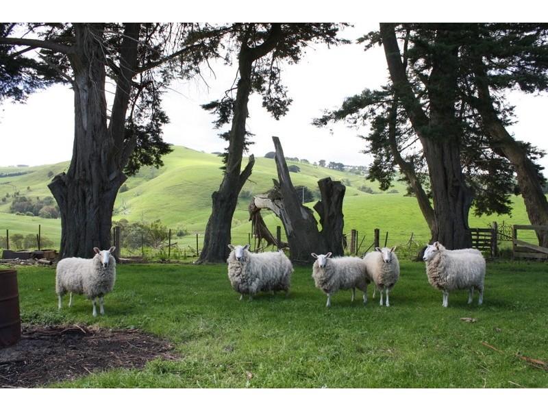 80 Canobios Road BENA, Korumburra VIC 3950