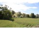 1105 Bena Kongwak Road, Kongwak VIC 3951