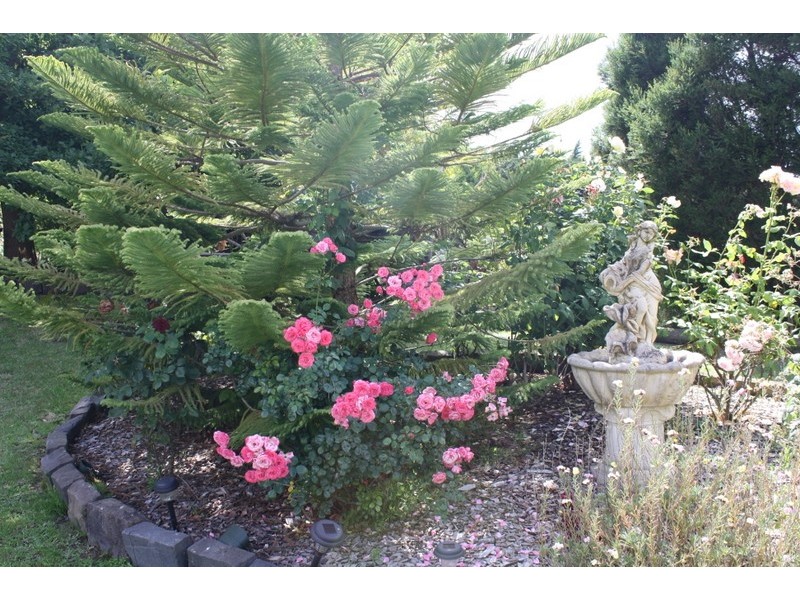 9 Hairs Road, Wonthaggi VIC 3995