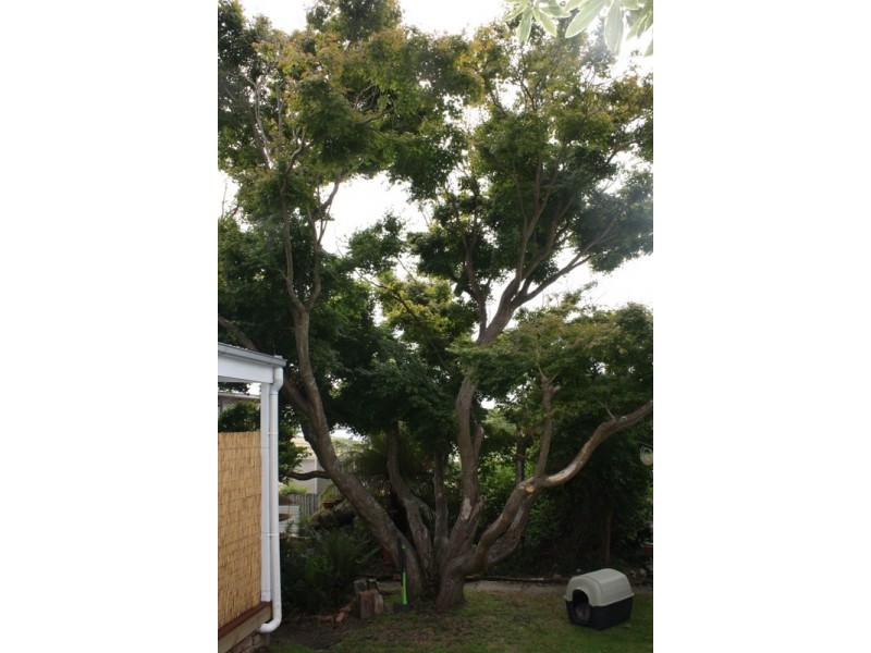 26 Princes Street, Korumburra VIC 3950