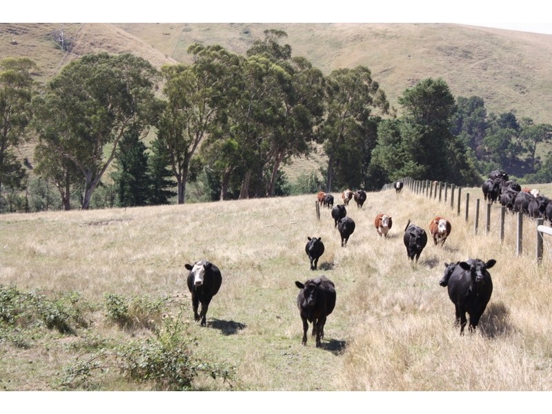 73 James Street, Kardella VIC 3951