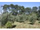 84 McIntoshes Road, Strzelecki VIC 3950