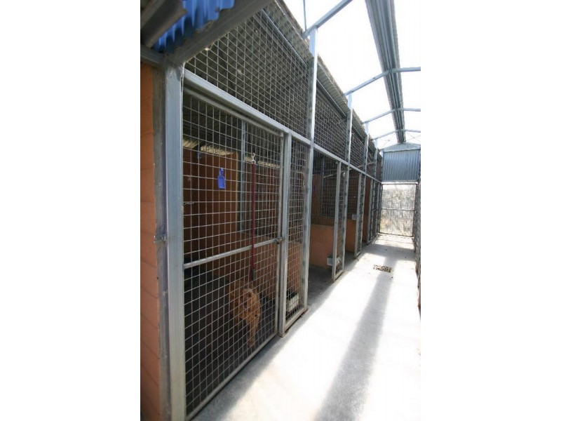 5 Timms Road, Poowong VIC 3988