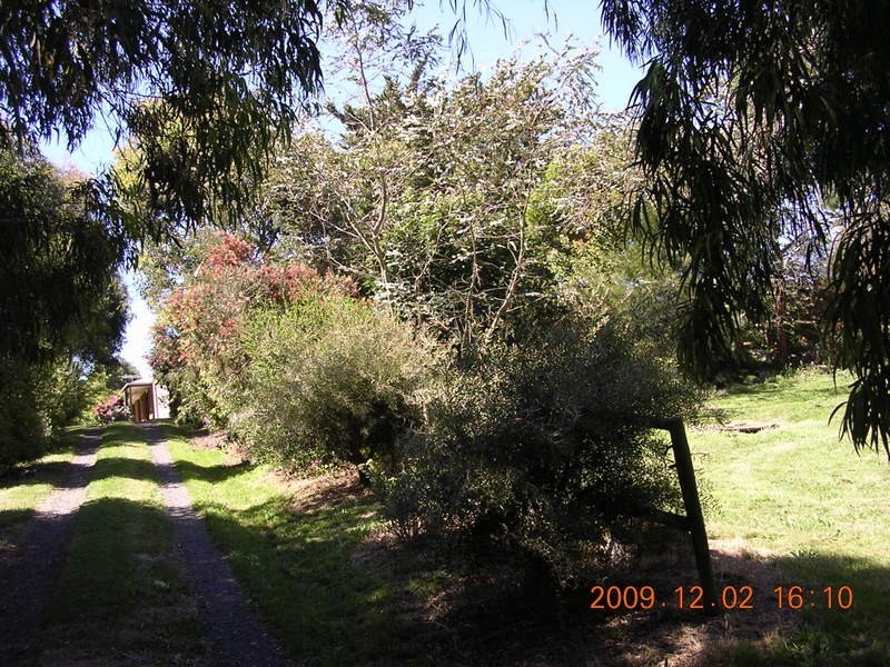 81 Scott & Faheys Road, Korumburra VIC 3950