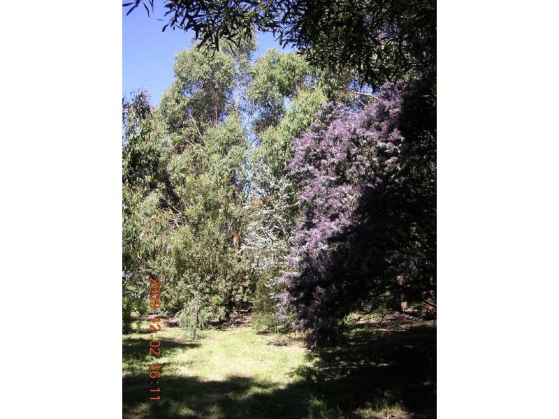 81 Scott & Faheys Road, Korumburra VIC 3950