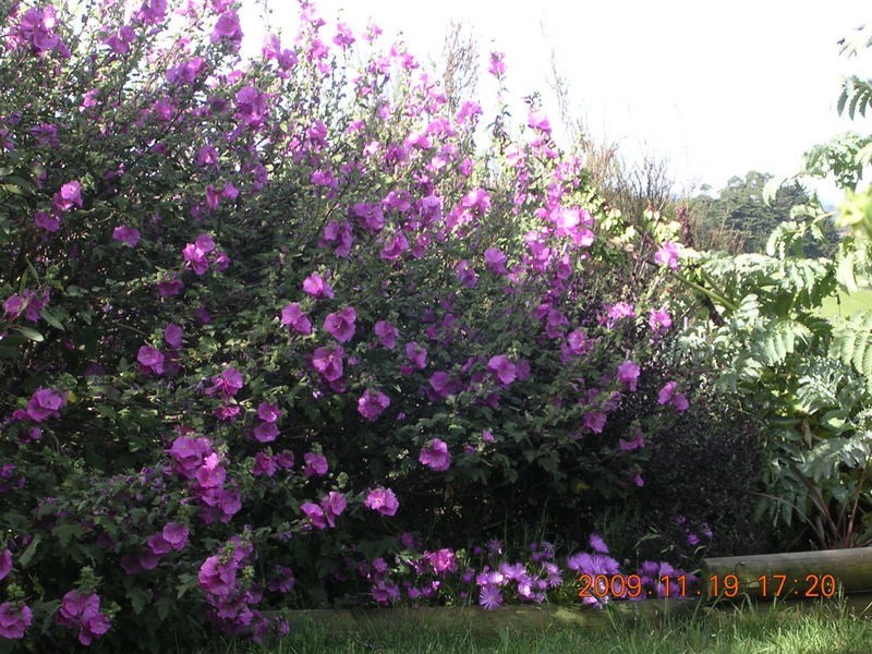 81 Scott & Faheys Road, Korumburra VIC 3950