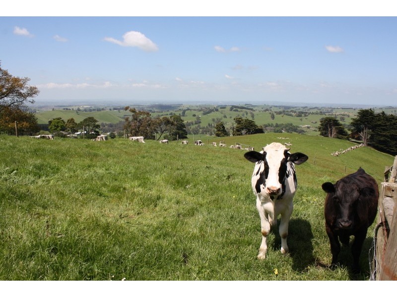 180 One Chain Road, Arawata VIC 3951