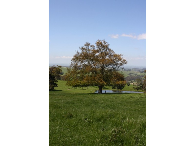 180 One Chain Road, Arawata VIC 3951