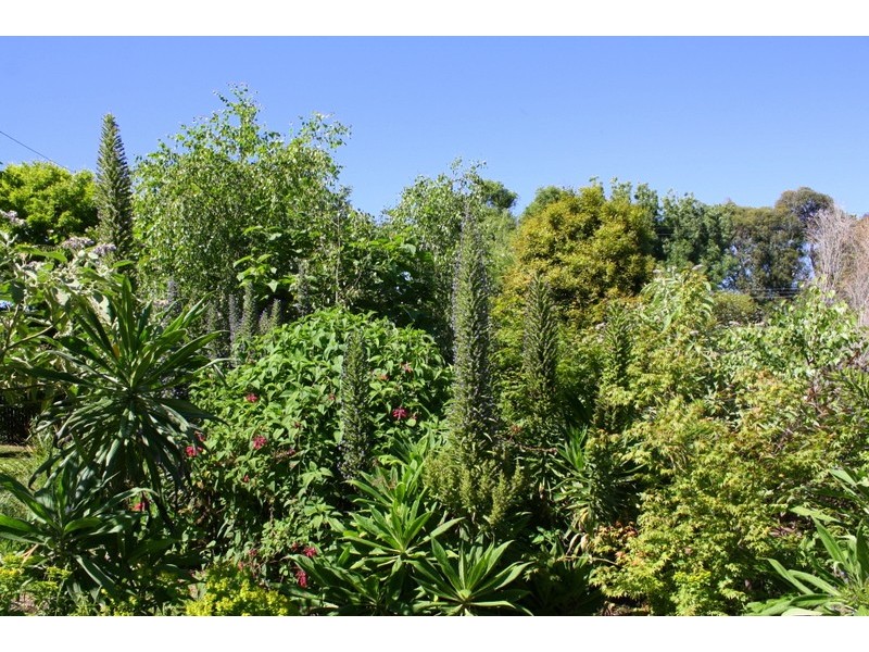 42 Bena Road, Korumburra VIC 3950