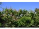 42 Bena Road, Korumburra VIC 3950
