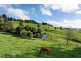 875 Korumburra – Warragul Road., Korumburra VIC 3950