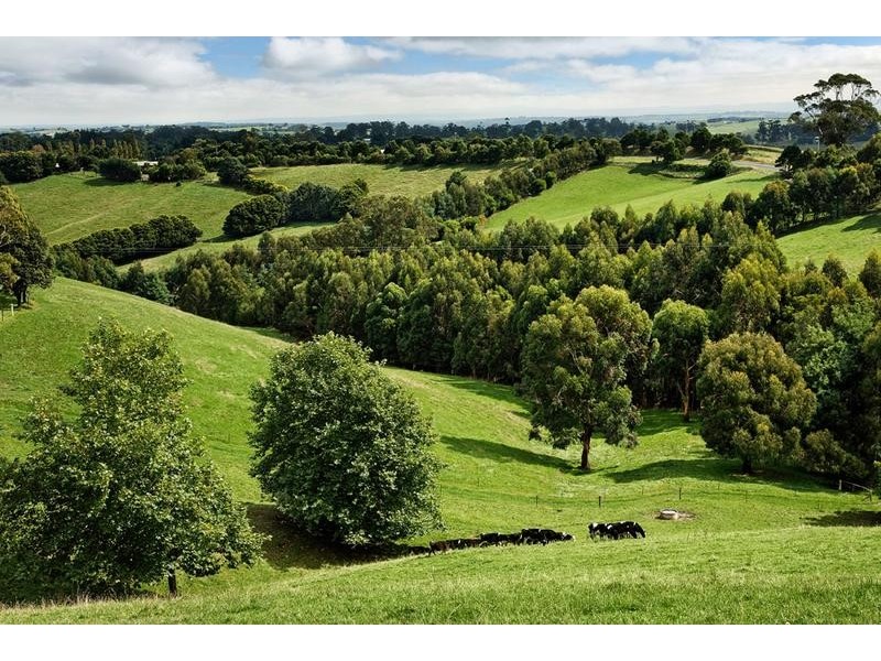 875 Korumburra – Warragul Road., Korumburra VIC 3950