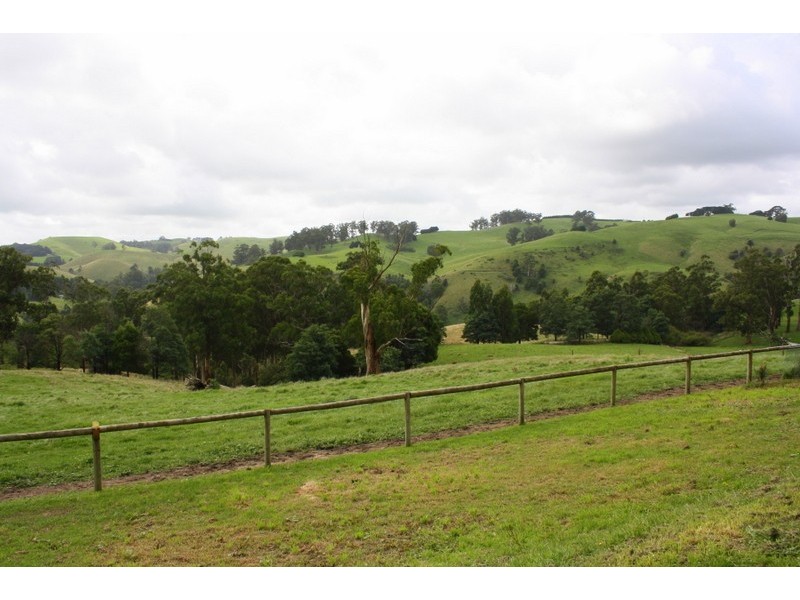 226 Wild Dog Road, Strzelecki VIC 3950