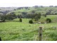 226 Wild Dog Road, Strzelecki VIC 3950