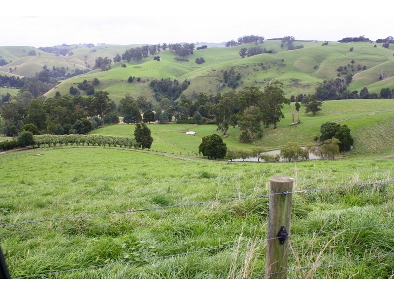 226 Wild Dog Road, Strzelecki VIC 3950