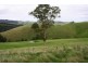 226 Wild Dog Road, Strzelecki VIC 3950