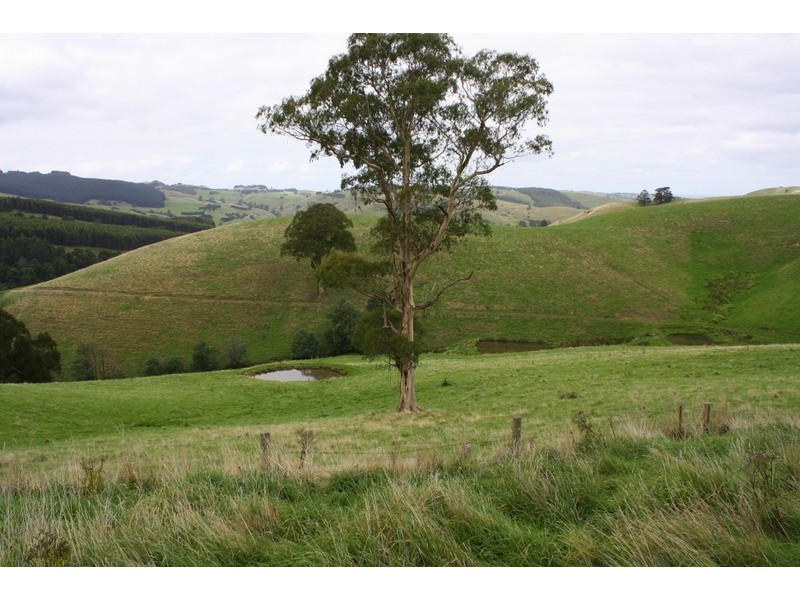 226 Wild Dog Road, Strzelecki VIC 3950