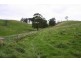 226 Wild Dog Road, Strzelecki VIC 3950