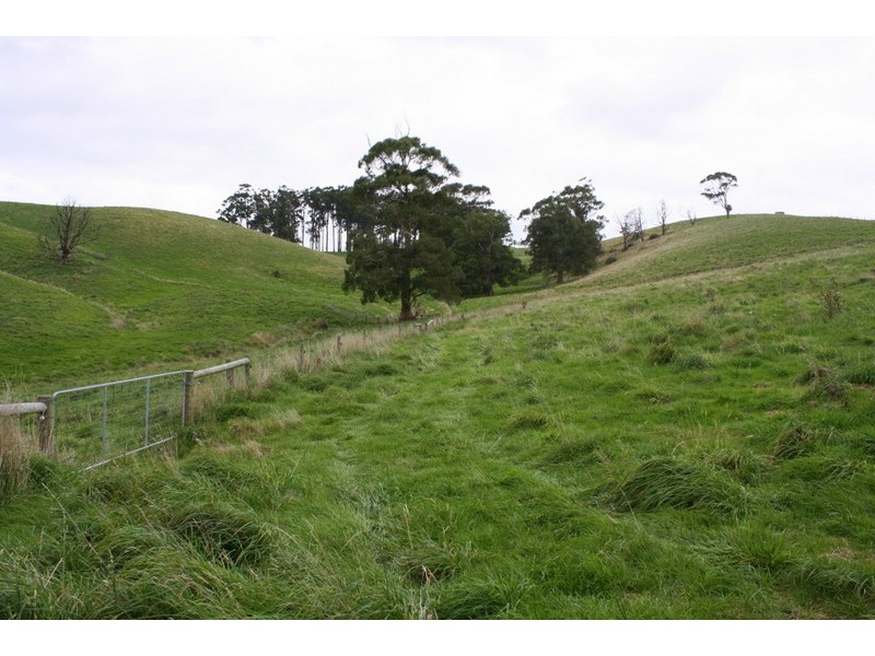 226 Wild Dog Road, Strzelecki VIC 3950