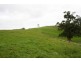 226 Wild Dog Road, Strzelecki VIC 3950