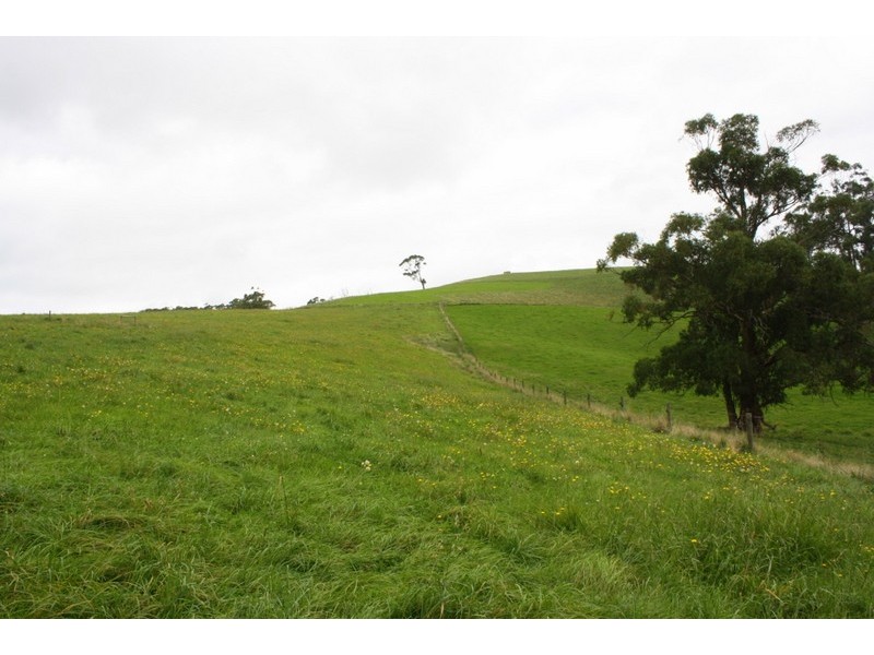 226 Wild Dog Road, Strzelecki VIC 3950
