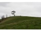 226 Wild Dog Road, Strzelecki VIC 3950