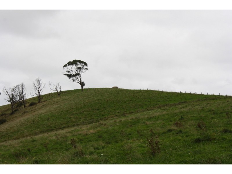 226 Wild Dog Road, Strzelecki VIC 3950