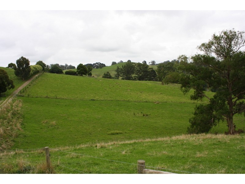 226 Wild Dog Road, Strzelecki VIC 3950