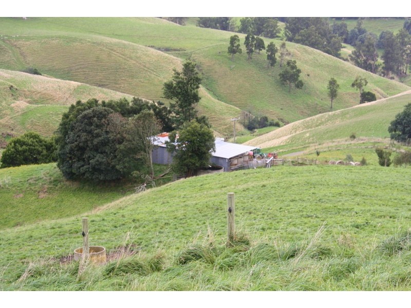226 Wild Dog Road, Strzelecki VIC 3950
