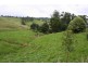 226 Wild Dog Road, Strzelecki VIC 3950