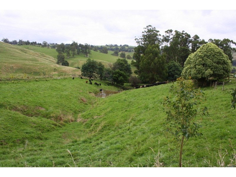 226 Wild Dog Road, Strzelecki VIC 3950