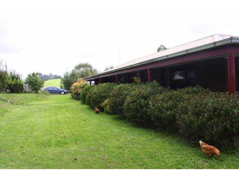 226 Wild Dog Road, Strzelecki VIC 3950