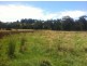 35 Stevens Road, Kardella VIC 3951
