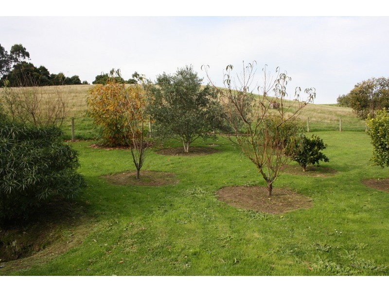 244 Korumburra-Bena Road, Korumburra VIC 3950